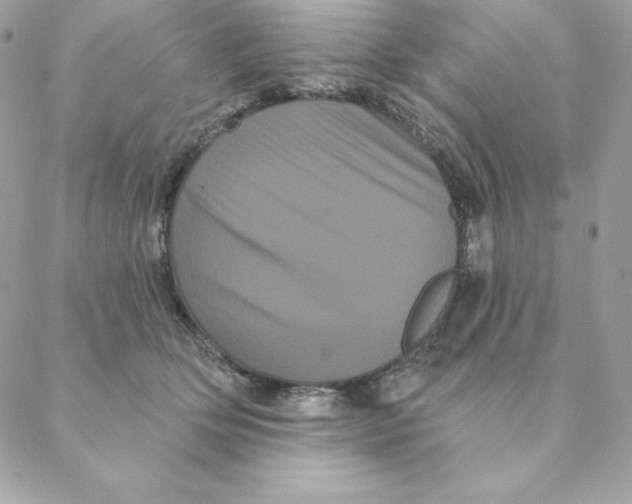 X0000088590514200706151740