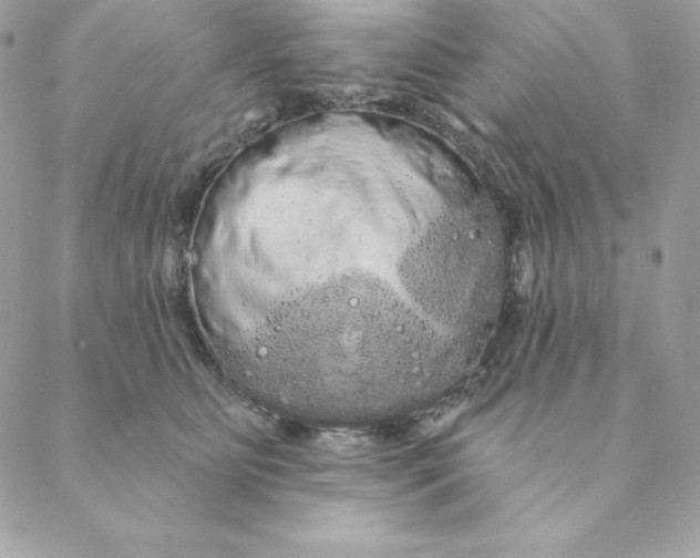 X0000088590515200706151740