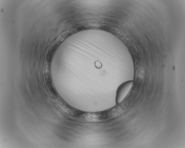 X0000088590518200706151739