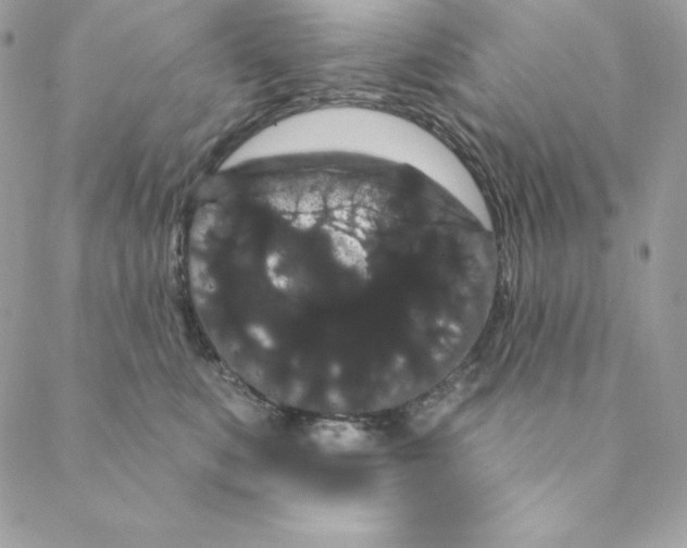 X0000088590519200706151739