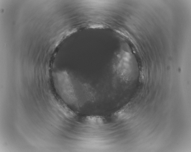 X0000088590520200706151739