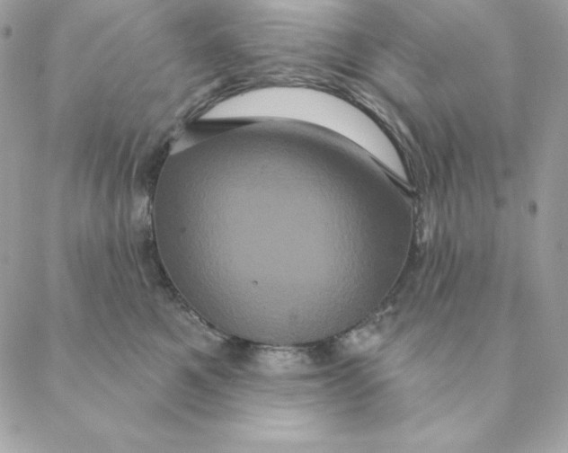 X0000088590521200706151739