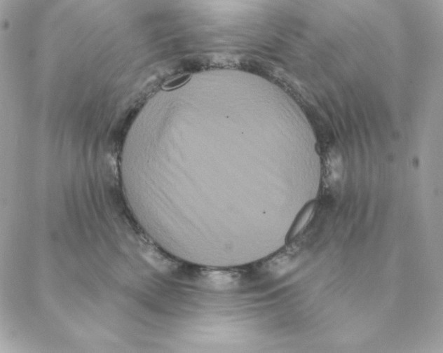 X0000088590522200706151739