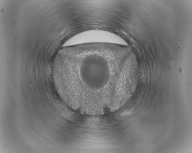 X0000088590523200706151739