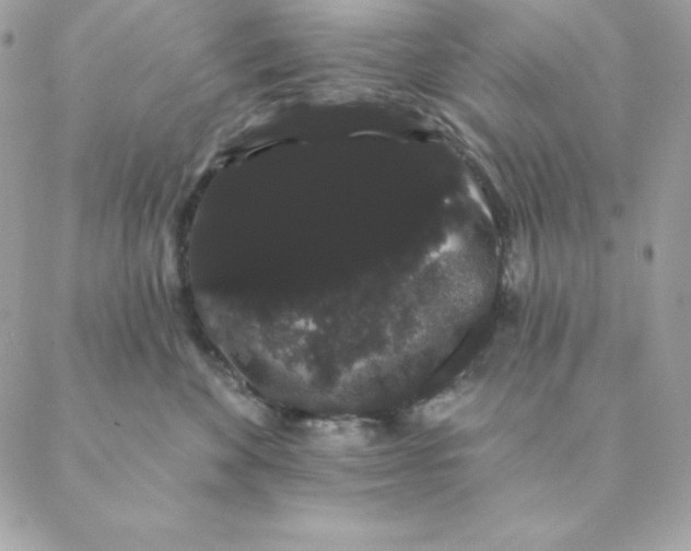 X0000088590524200706151739