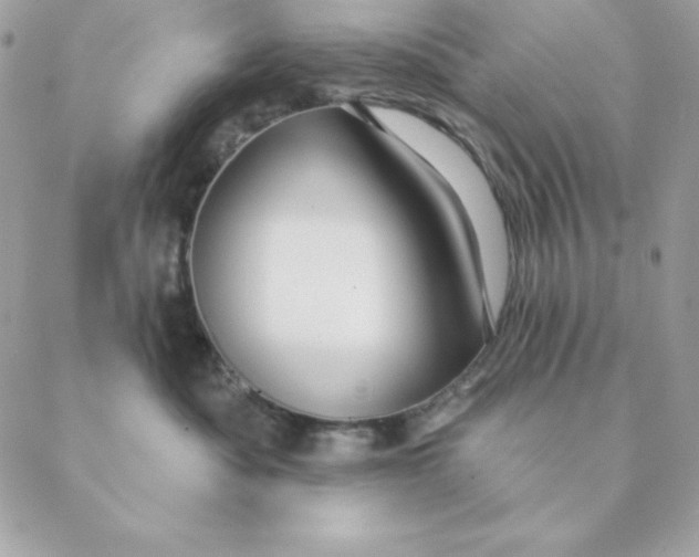 X0000088590525200706151739