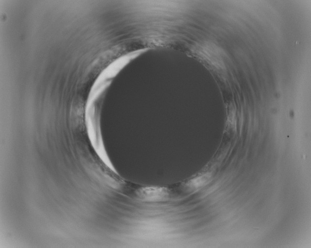 X0000088590526200706151739