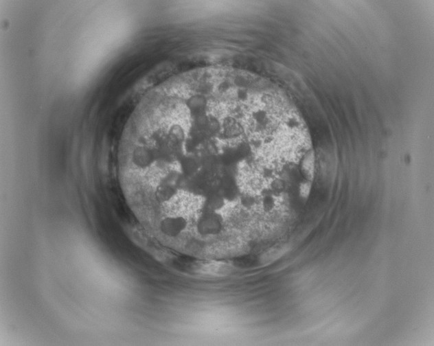 X0000088590527200706151739