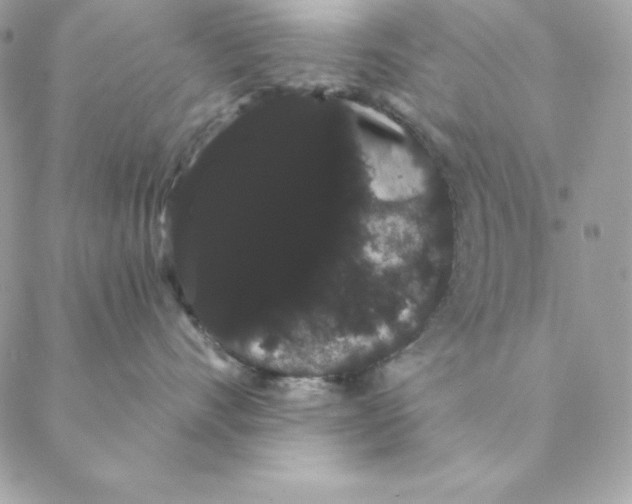 X0000088590528200706151739