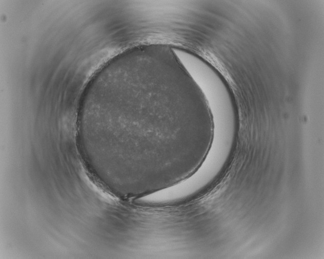 X0000088590530200706151739