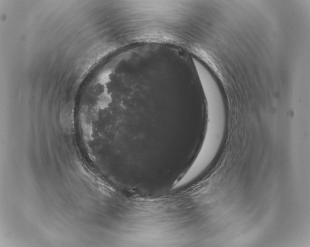 X0000088590531200706151739