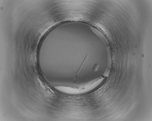 X0000088590532200706151739