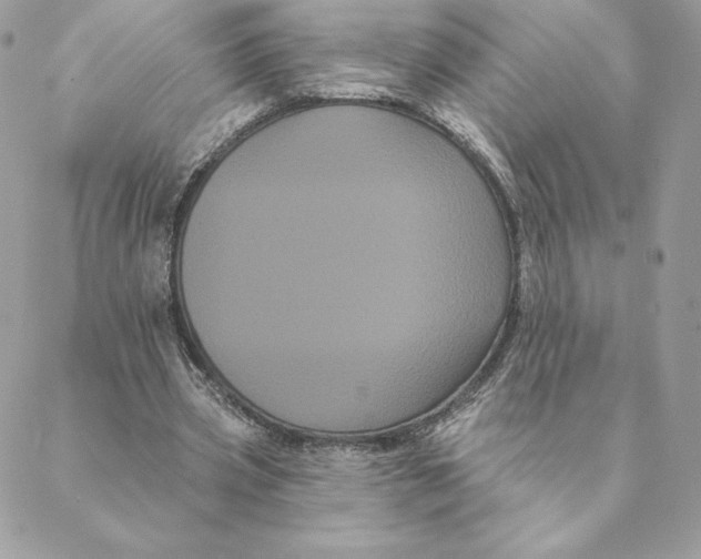 X0000088590533200706151739