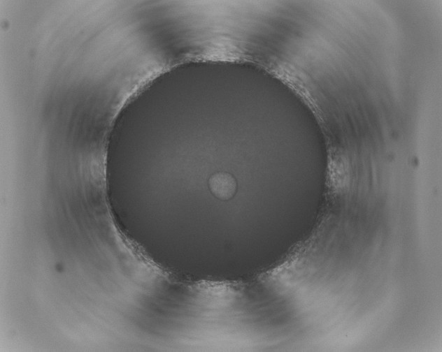 X0000088590534200706151739