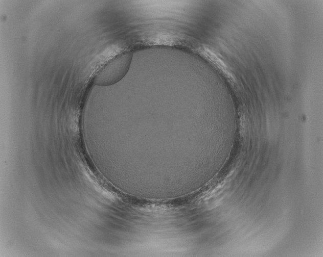 X0000088590537200706151739