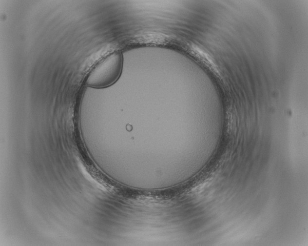 X0000088590538200706151739