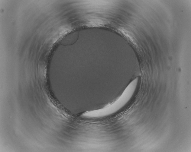 X0000088590539200706151739