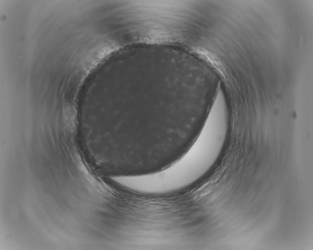 X0000088590540200706151739