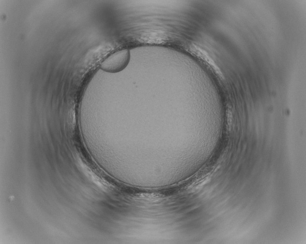 X0000088590541200706151739