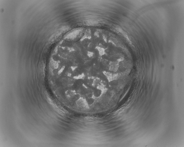 X0000088590542200706151739