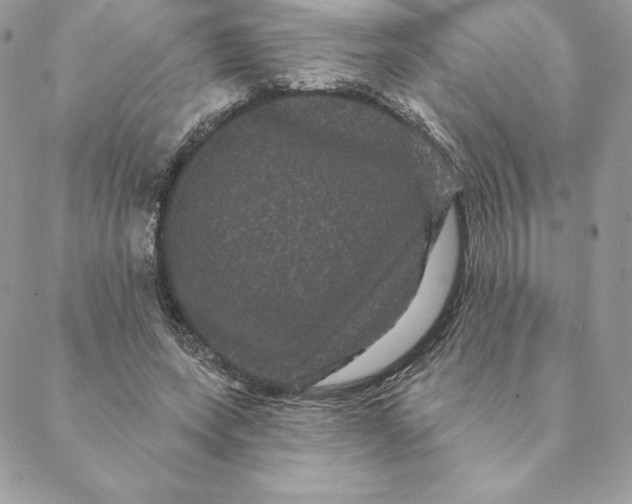 X0000088590543200706151739