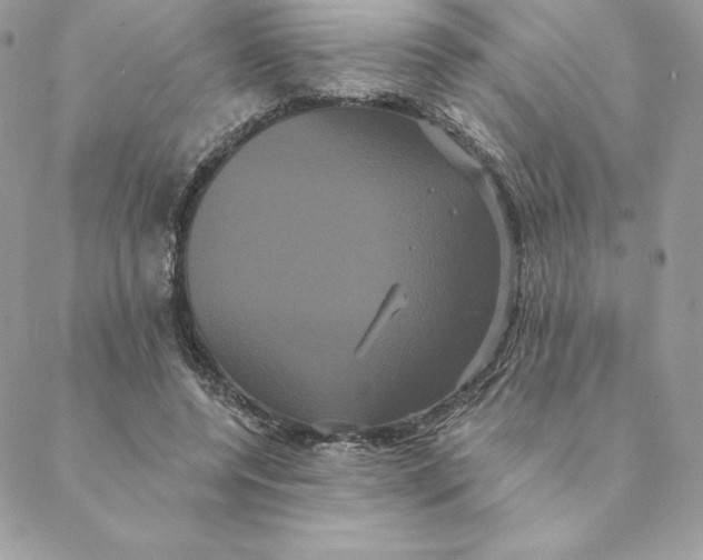 X0000088590544200706151739