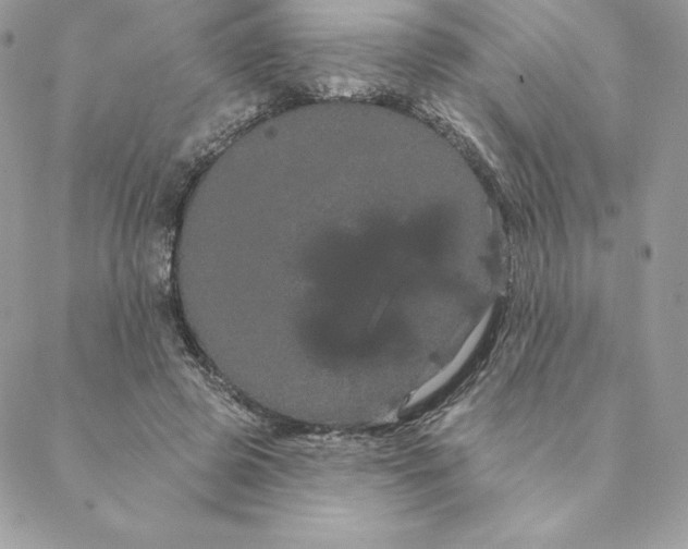 X0000088590545200706151739