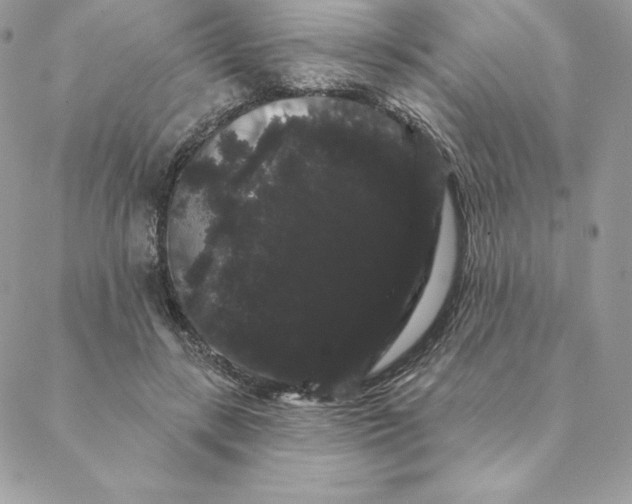 X0000088590547200706151739