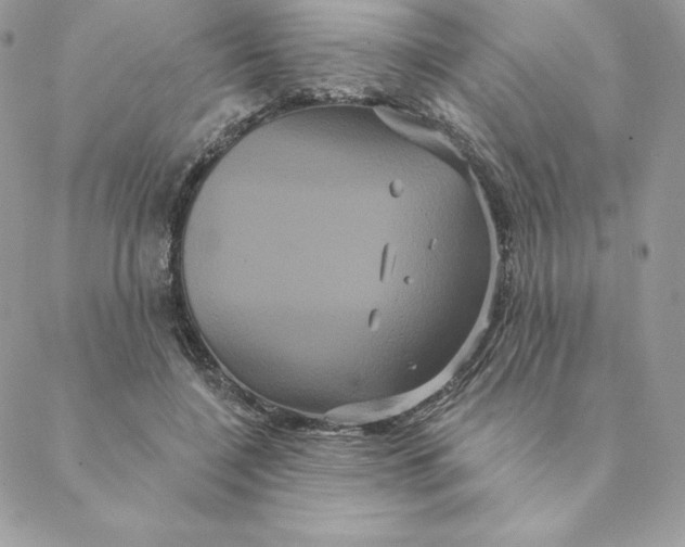 X0000088590548200706151739