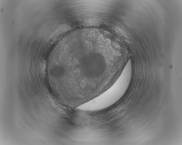 X0000088590550200706151739