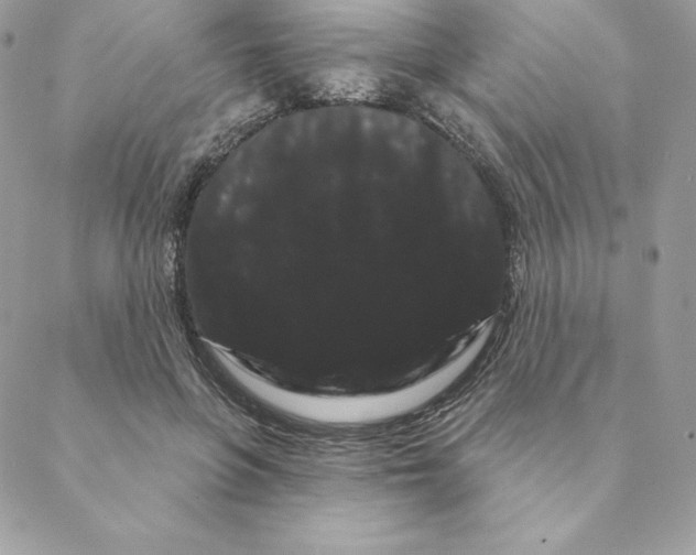 X0000088590551200706151739