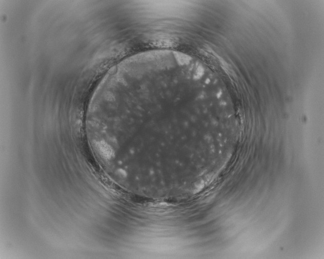 X0000088590553200706151739