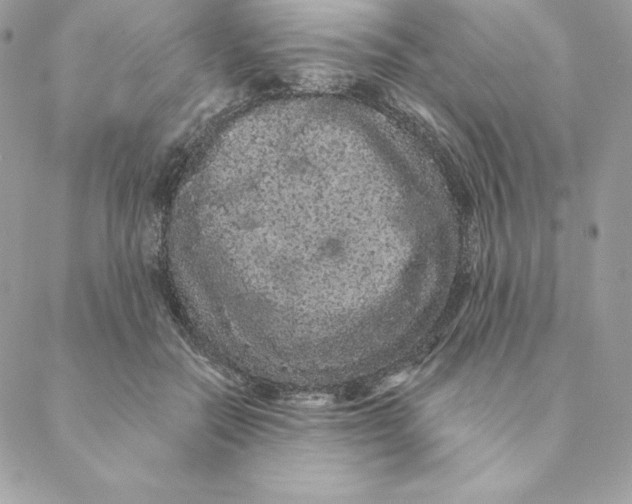 X0000088590554200706151739