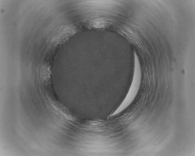 X0000088590555200706151739