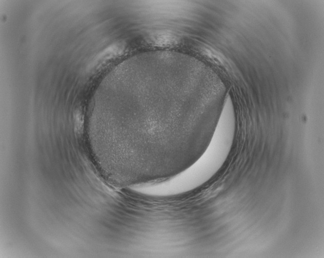 X0000088590558200706151739