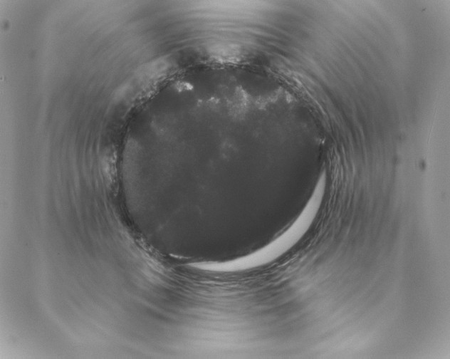 X0000088590559200706151739