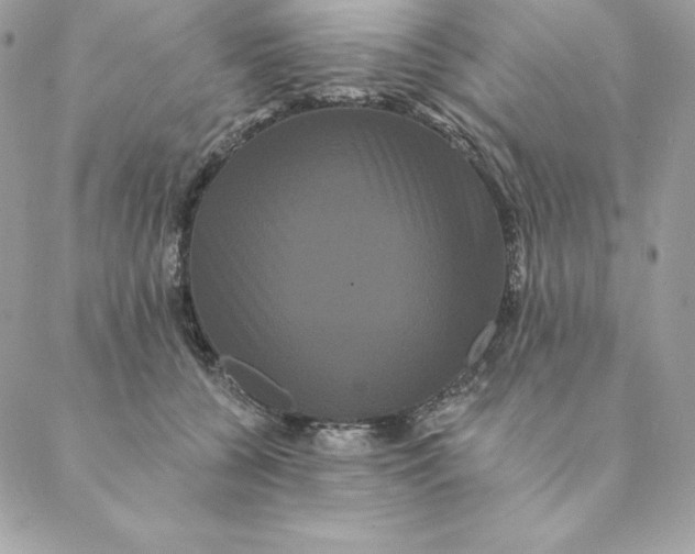 X0000088590560200706151739