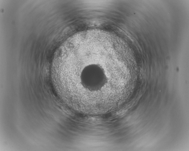 X0000088590561200706151739