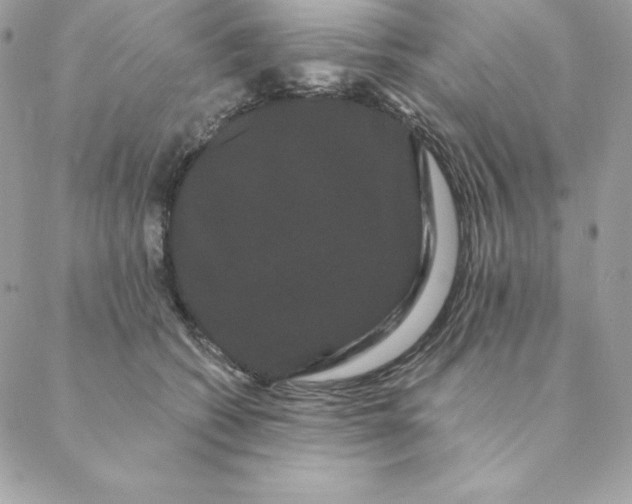 X0000088590562200706151739