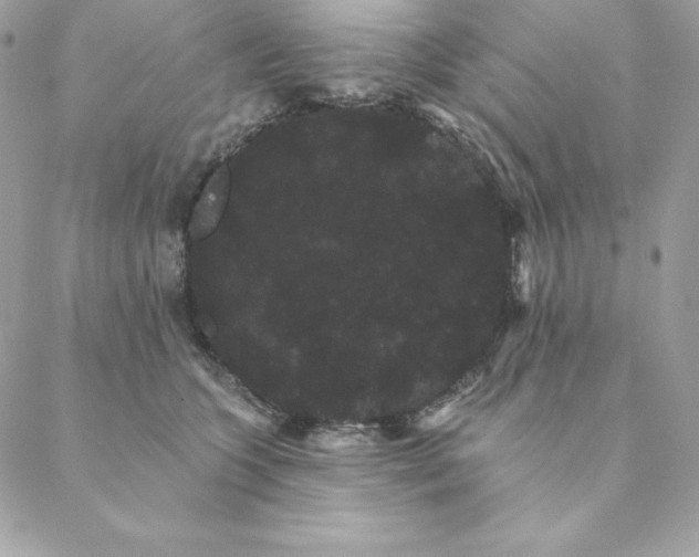 X0000088590563200706151739