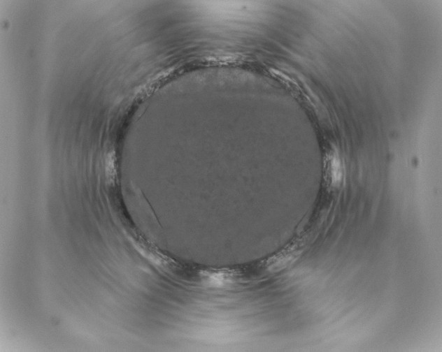 X0000088590564200706151739