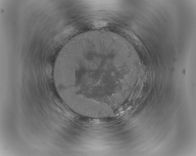 X0000088590565200706151739