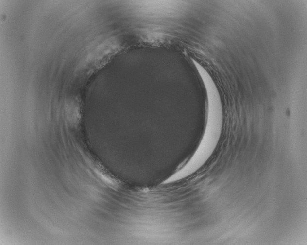 X0000088590566200706151739