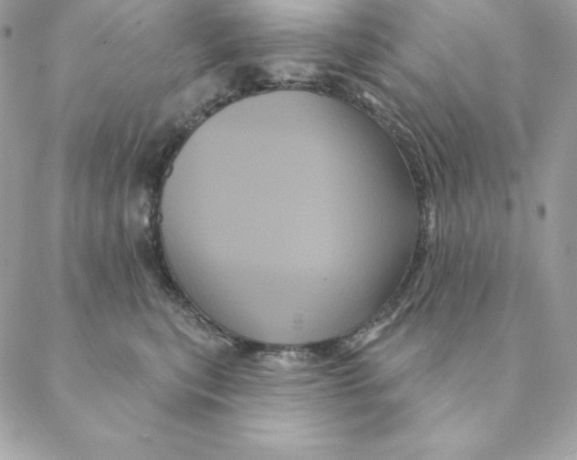 X0000088590567200706151739