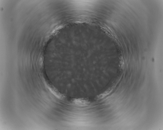 X0000088590568200706151739