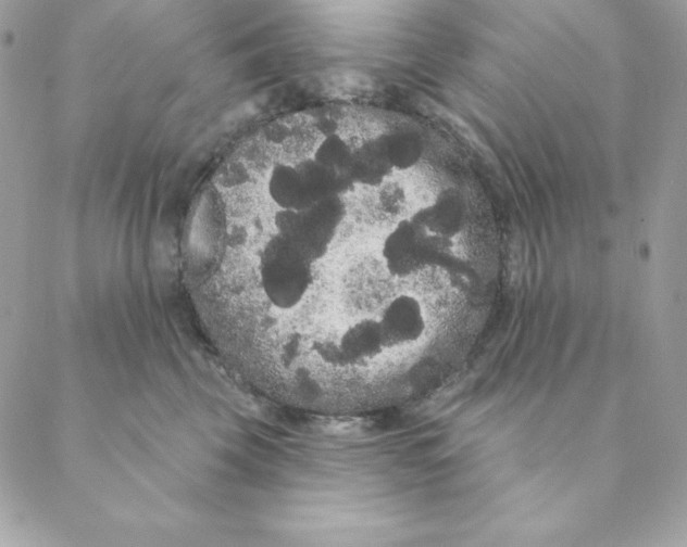 X0000088590569200706151739