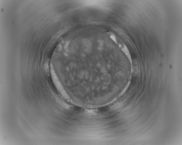 X0000088590573200706151739