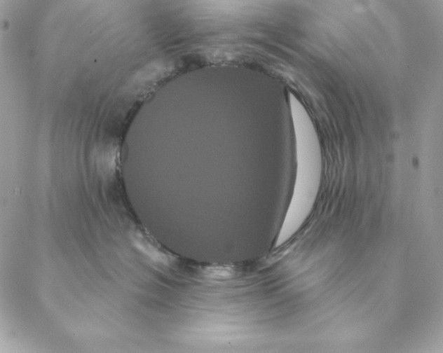 X0000088590574200706151739