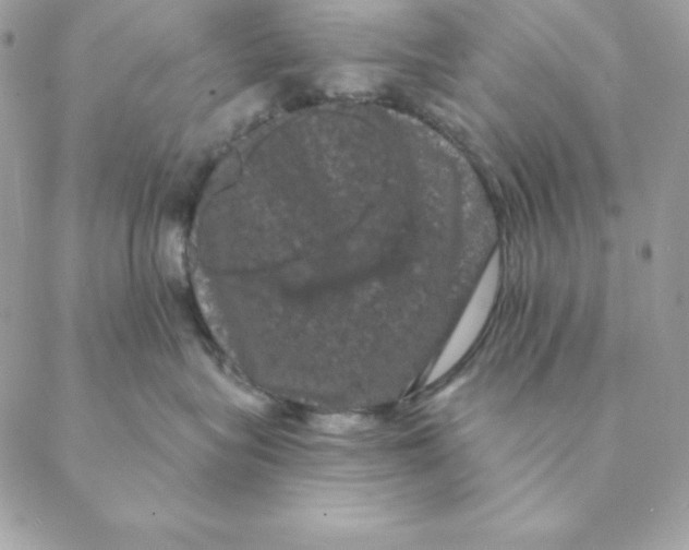 X0000088590575200706151739