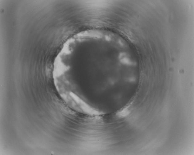 X0000088590576200706151739